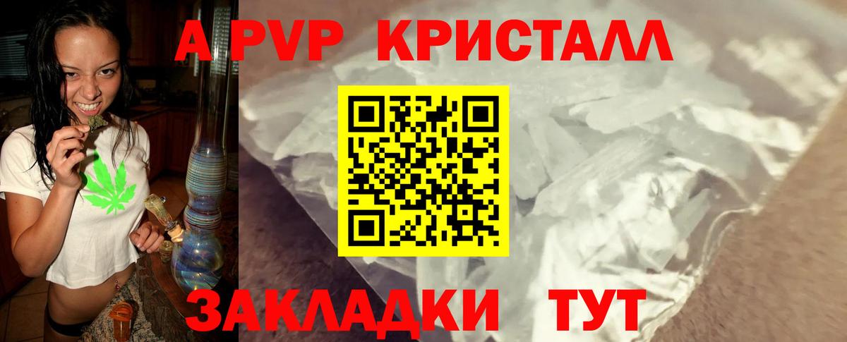 Альфа ПВП СК Сунжа