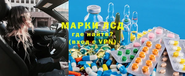 дмт Алзамай