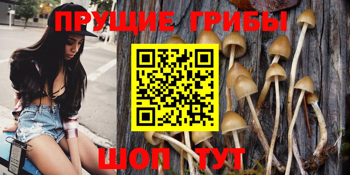 Псилоцибиновые грибы ЛСД  Вход с VPN  Сунжа 