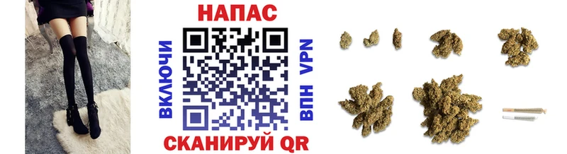 Марихуана конопля Сунжа
